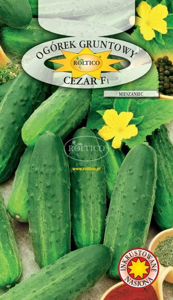 Огірок CEZAR F1 / ЦЕЗАР F1 - 5 грам. Комахозапильний