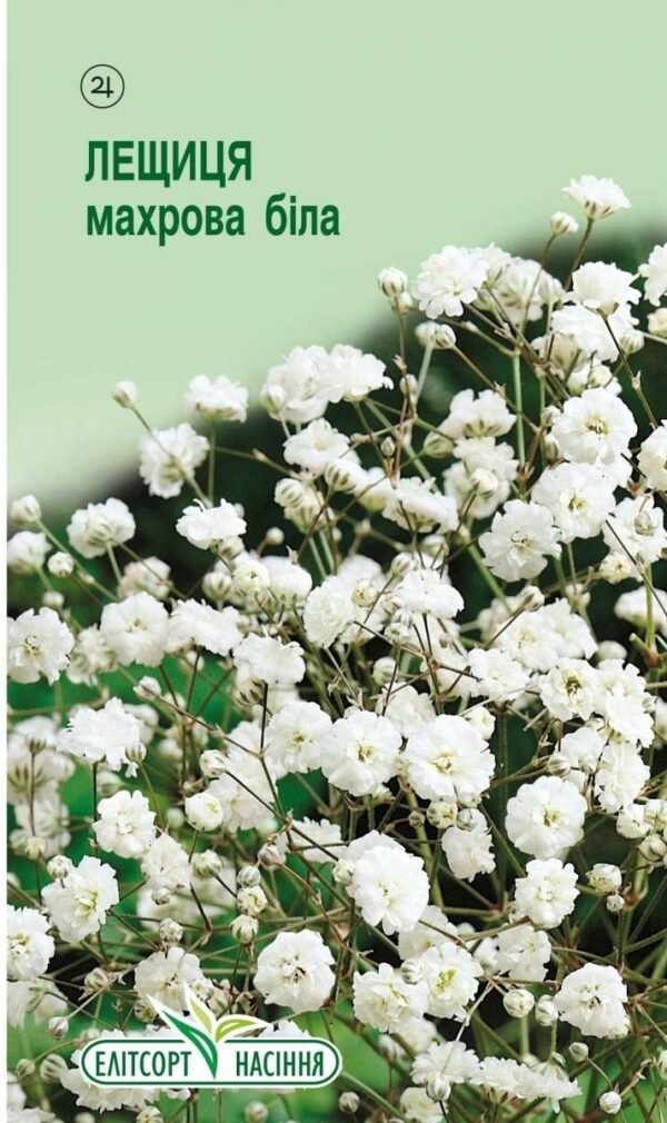 Лещиця (Гіпсофіла) махрова біла 0,1 грам. (Елітсорт)